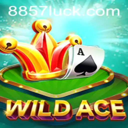 Explorando o Fascinante Mundo de WildAce: Um Guia Completo para Novos Jogadores